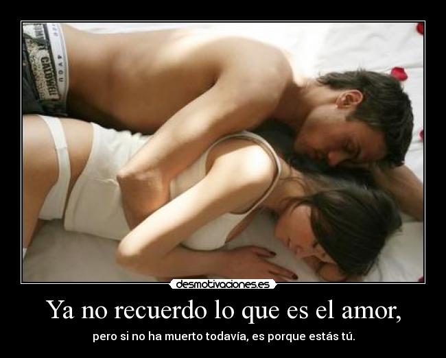 carteles amor amor desmotivaciones