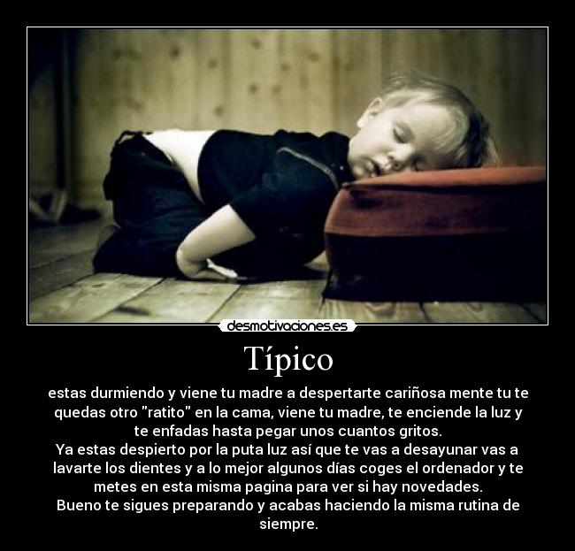 Típico - estas durmiendo y viene tu madre a despertarte cariñosa mente tu te
quedas otro ratito en la cama, viene tu madre, te enciende la luz y
te enfadas hasta pegar unos cuantos gritos.
Ya estas despierto por la puta luz así que te vas a desayunar vas a
lavarte los dientes y a lo mejor algunos días coges el ordenador y te
metes en esta misma pagina para ver si hay novedades.
Bueno te sigues preparando y acabas haciendo la misma rutina de
siempre.