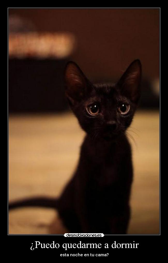 ¿Puedo quedarme a dormir -