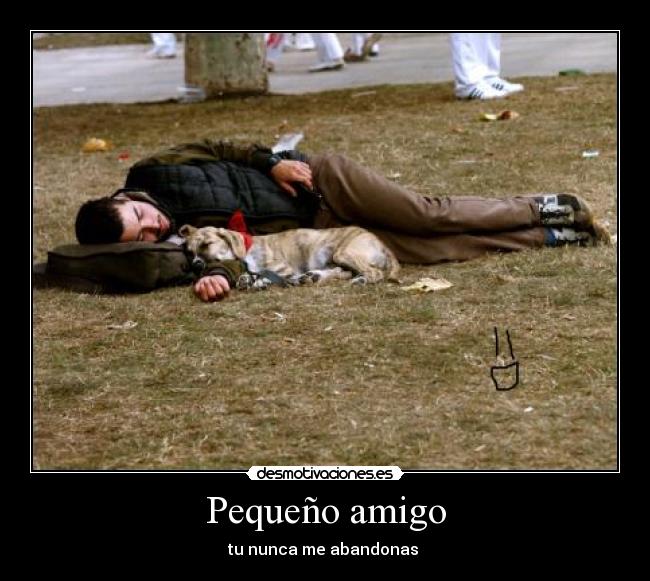 Pequeño amigo - tu nunca me abandonas