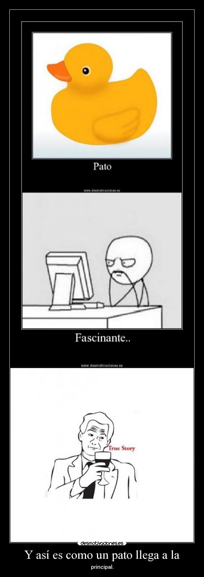 Y así es como un pato llega a la -