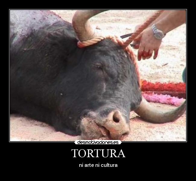 TORTURA -