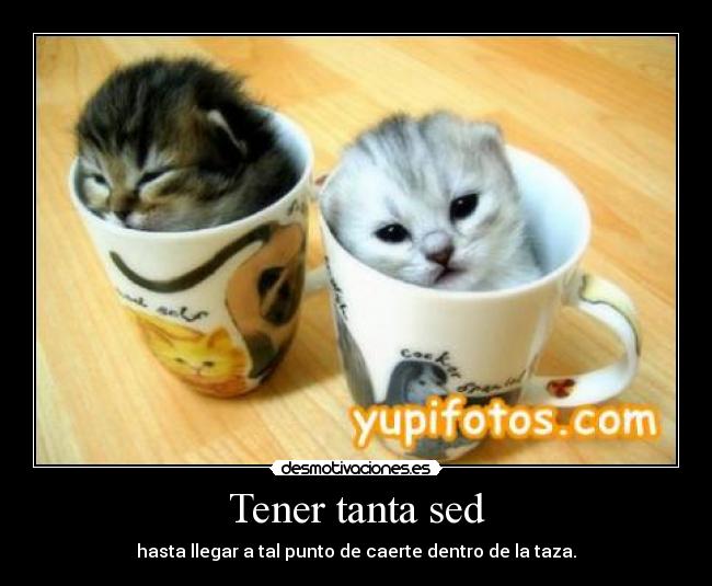 Tener tanta sed - hasta llegar a tal punto de caerte dentro de la taza.