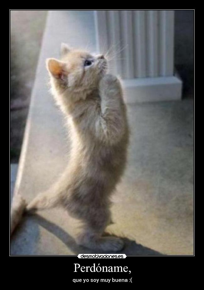 Perdóname, - que yo soy muy buena :(
