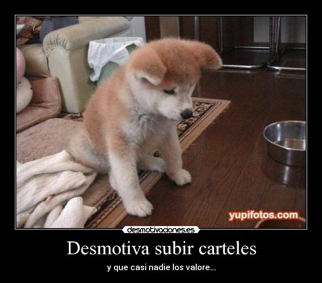 Desmotiva subir carteles - 