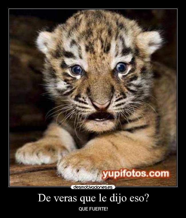 De veras que le dijo eso? - QUE FUERTE!