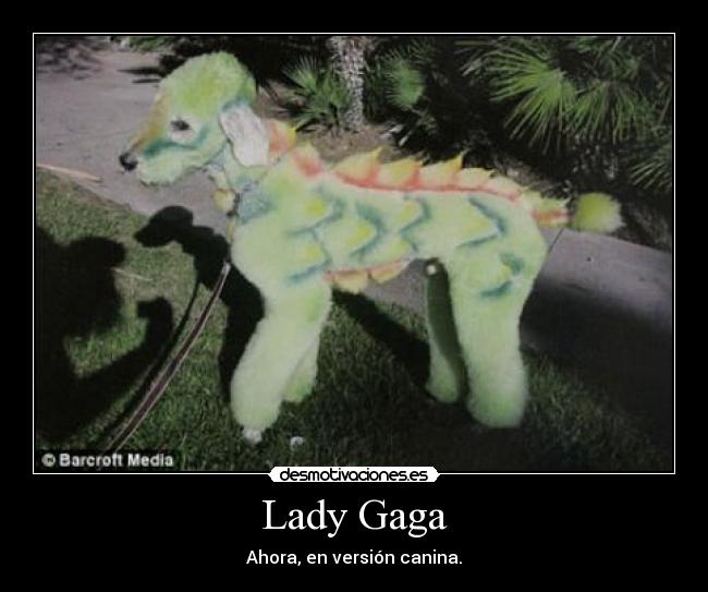 Lady Gaga - 