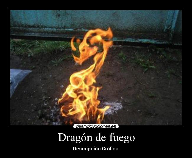 Dragón de fuego - 