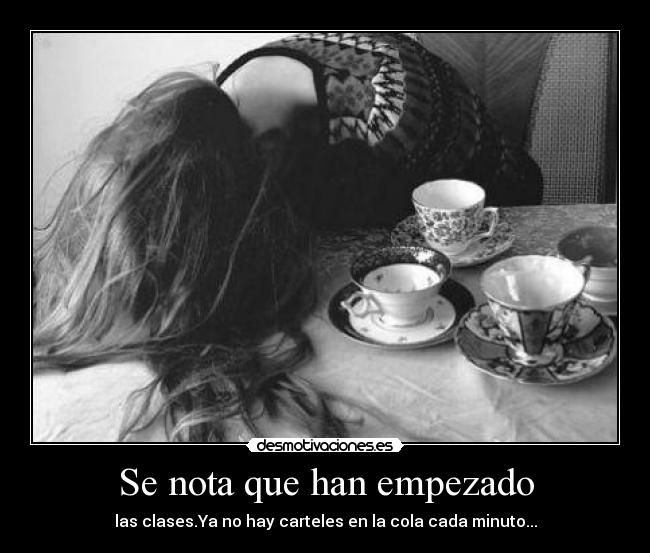 Se nota que han empezado - 