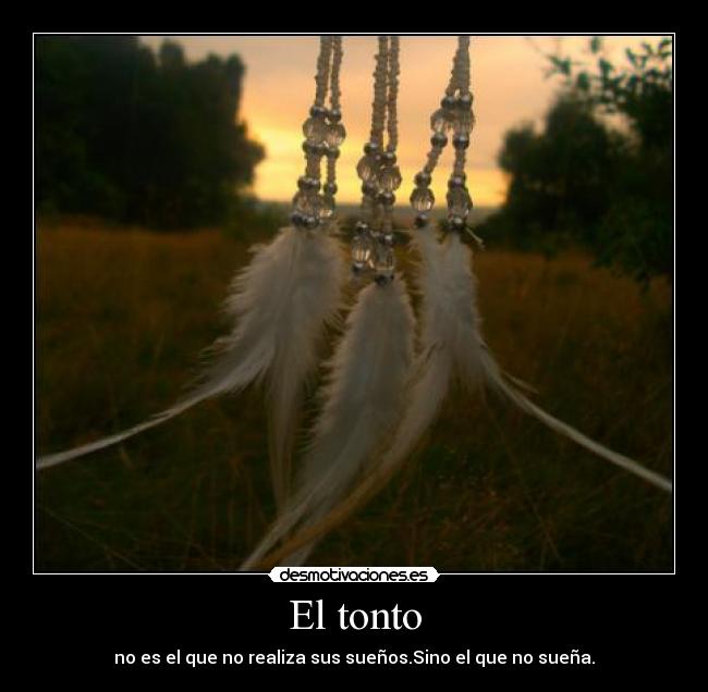 El tonto - 