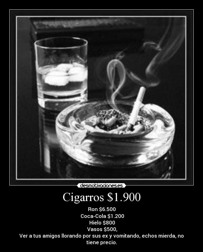Cigarros $1.900 - Ron $6.500
 Coca-Cola $1.200
 Hielo $800
 Vasos $500,
Ver a tus amigos llorando por sus ex y vomitando, echos mierda, no tiene precio.