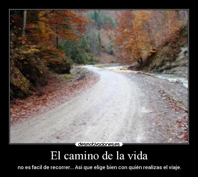 El camino de la vida - 