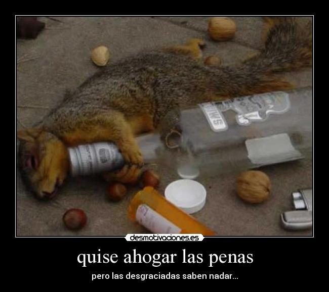 quise ahogar las penas -