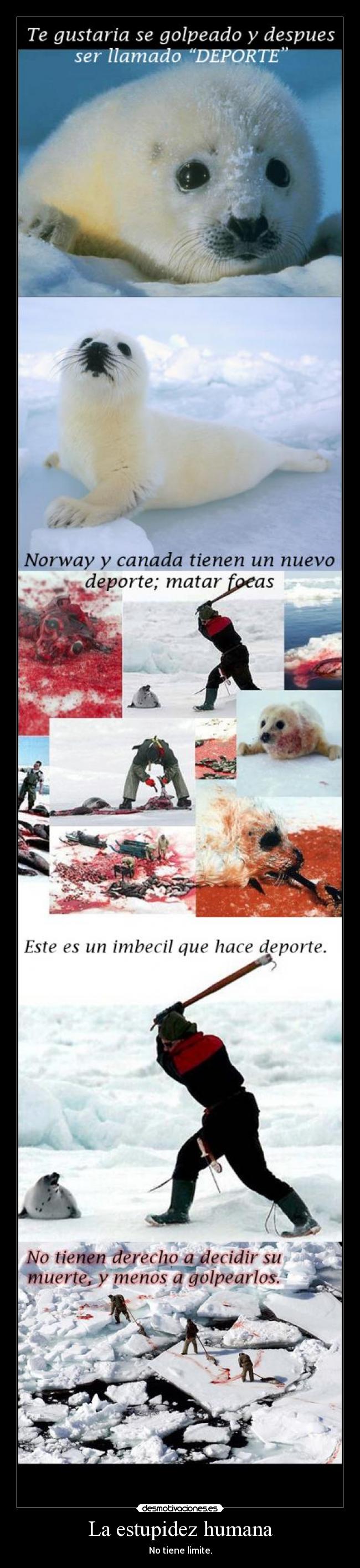 La estupidez humana - 