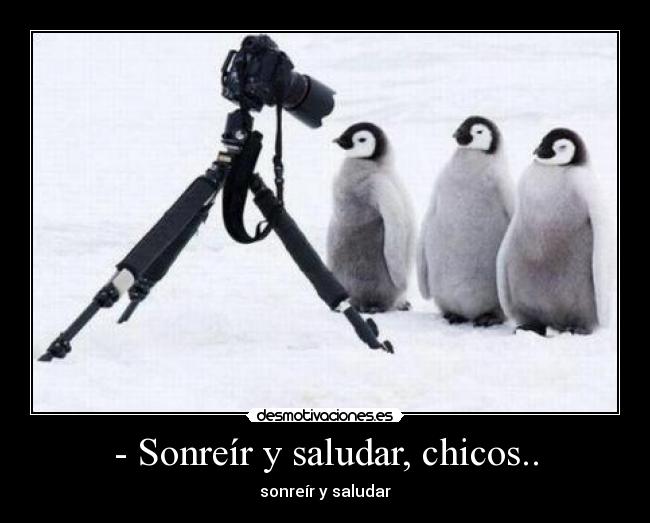 - Sonreír y saludar, chicos.. - 