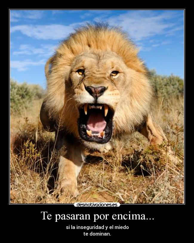 Te pasaran por encima... - si la inseguridad y el miedo
te dominan.