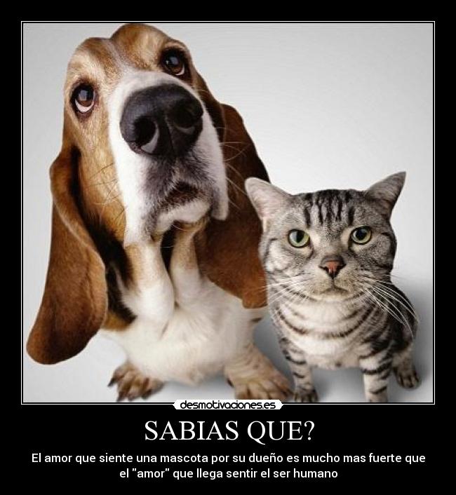 SABIAS QUE? - 