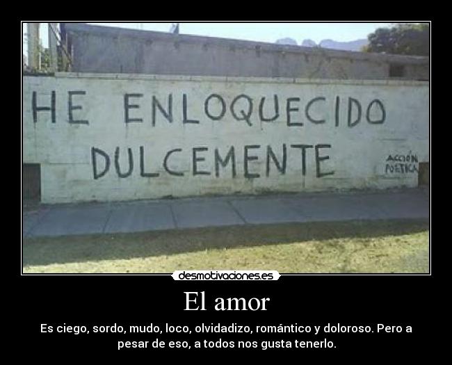 El amor - 