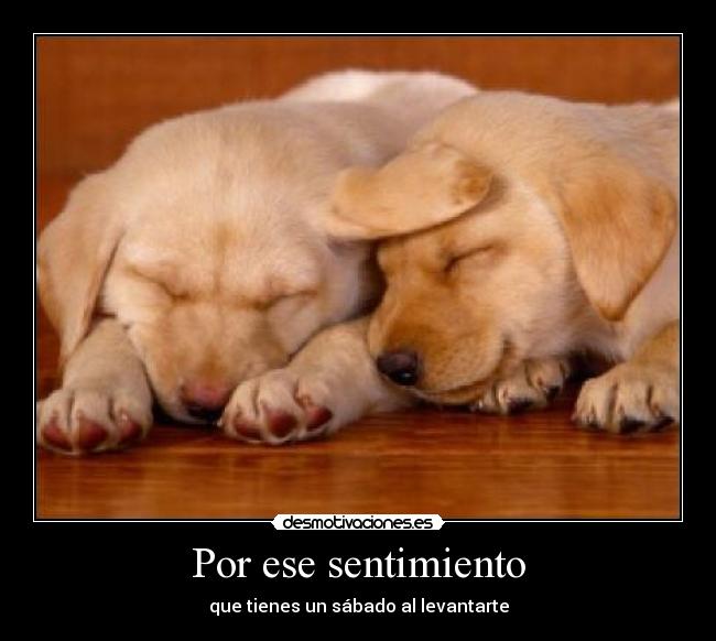Por ese sentimiento -