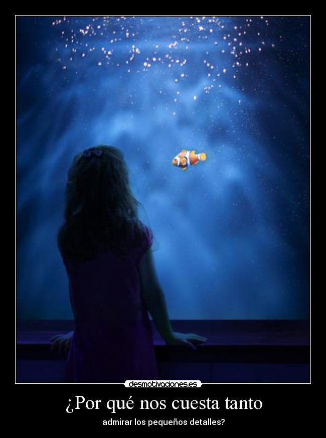 ¿Por qué nos cuesta tanto - admirar los pequeños detalles?