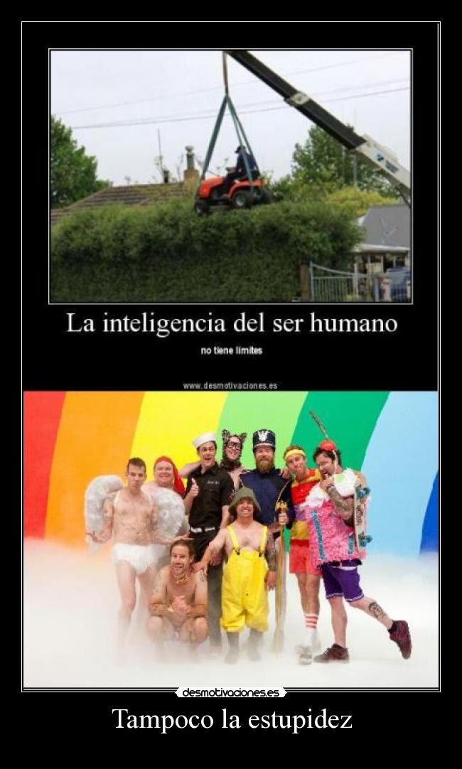 Tampoco la estupidez - 