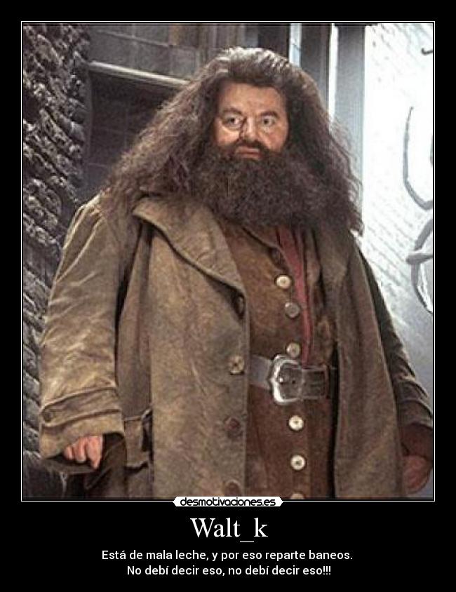 carteles atentamente hijo del hijo del hijo ron weasley desmotivaciones