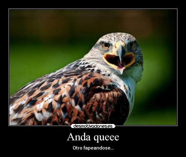 Anda queee - Otro fapeandose...