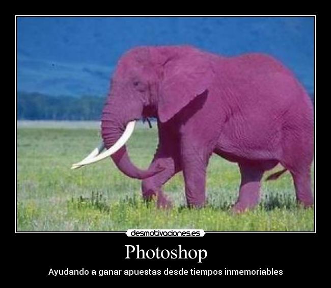Photoshop - Ayudando a ganar apuestas desde tiempos inmemoriables