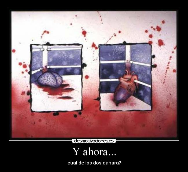 Y ahora... - cual de los dos ganara?