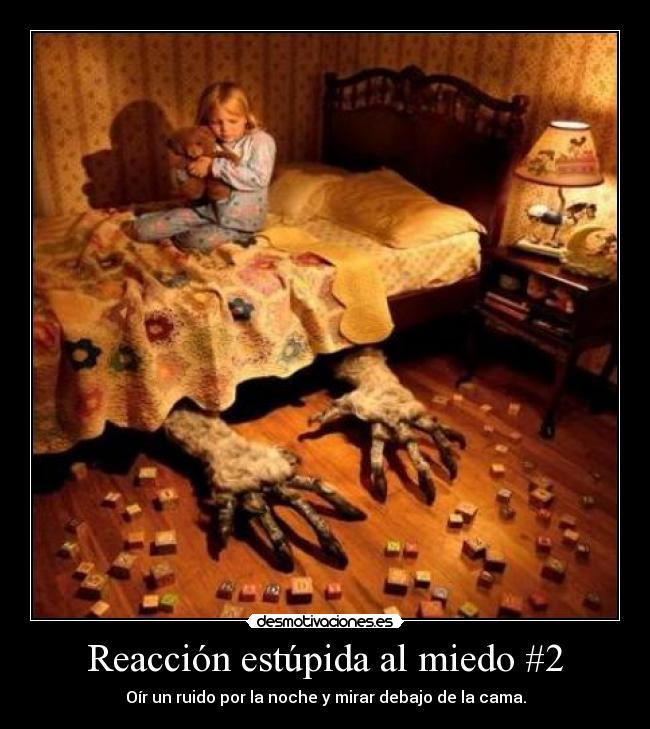 Reacción estúpida al miedo #2 - 