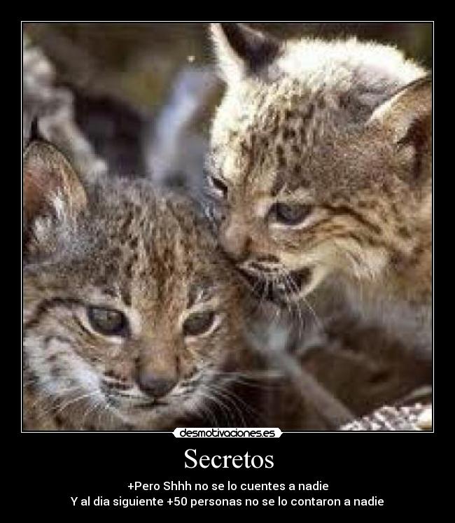 Secretos -