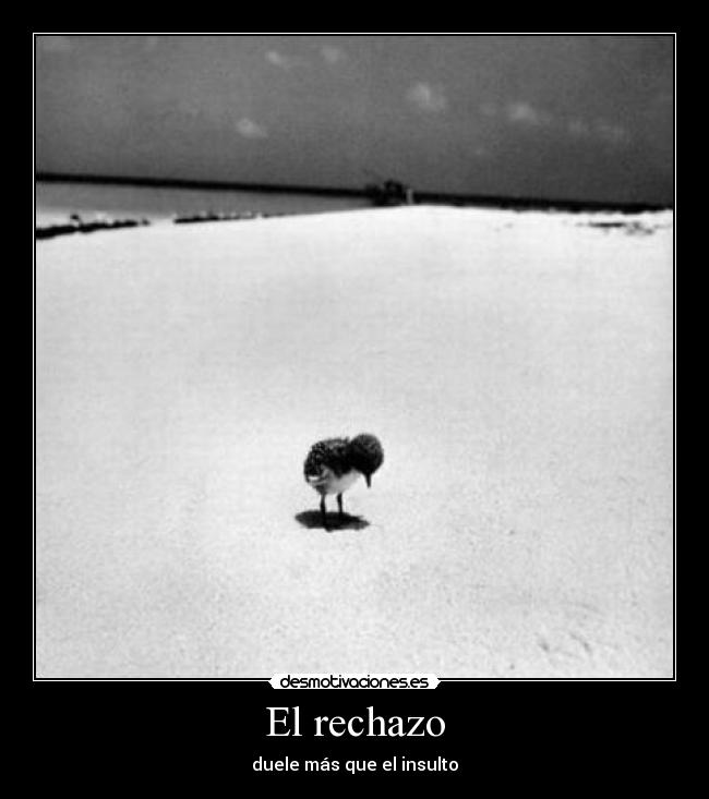 El rechazo - 