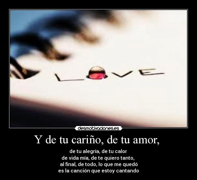 Y de tu cariño, de tu amor,  - de tu alegría, de tu calor 
de vida mía, de te quiero tanto, 
al final, de todo, lo que me quedó
 es la canción que estoy cantando 
