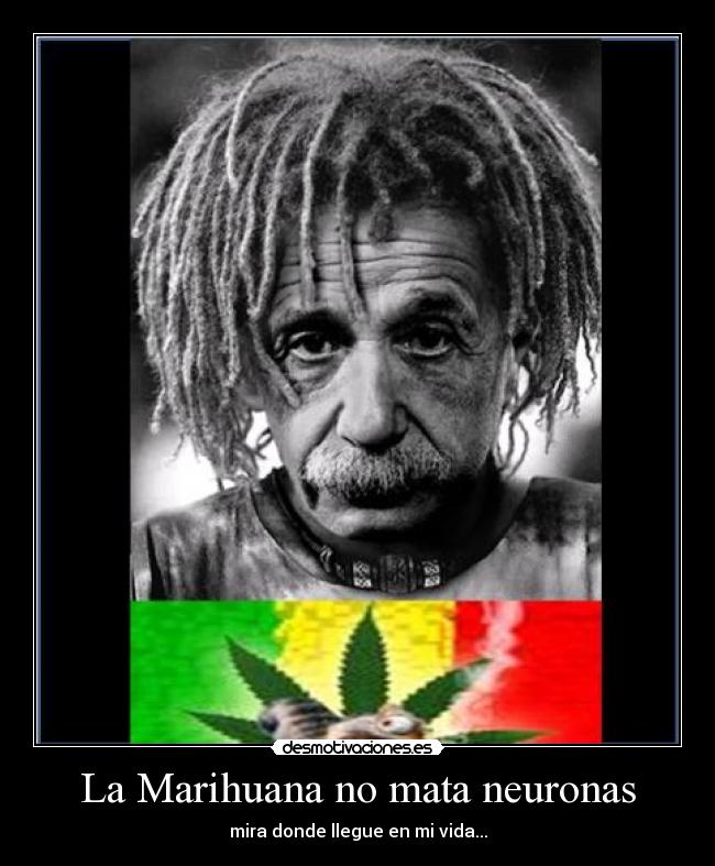 La Marihuana no mata neuronas - mira donde llegue en mi vida...