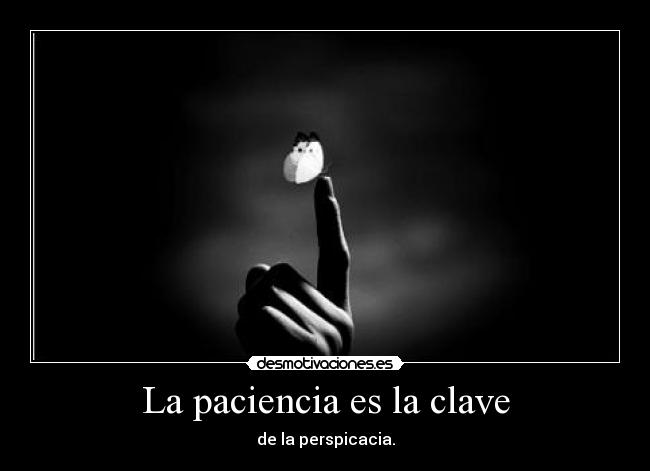 La paciencia es la clave - de la perspicacia.