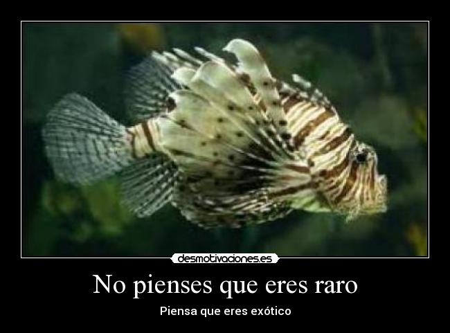 No pienses que eres raro - Piensa que eres exótico