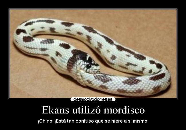 carteles real pokemons desmotivaciones