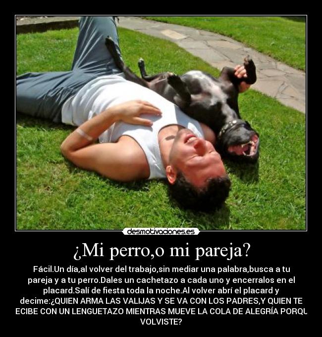 ¿Mi perro,o mi pareja? - Fácil.Un día,al volver del trabajo,sin mediar una palabra,busca a tu
pareja y a tu perro.Dales un cachetazo a cada uno y encerralos en el
placard.Salí de fiesta toda la noche.Al volver abrí el placard y
decime:¿QUIEN ARMA LAS VALIJAS Y SE VA CON LOS PADRES,Y QUIEN TE
RECIBE CON UN LENGUETAZO MIENTRAS MUEVE LA COLA DE ALEGRÍA PORQUE
VOLVISTE?