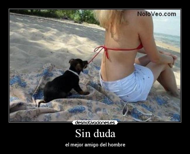 Sin duda - el mejor amigo del hombre