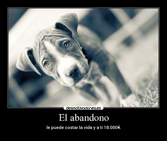 El abandono -