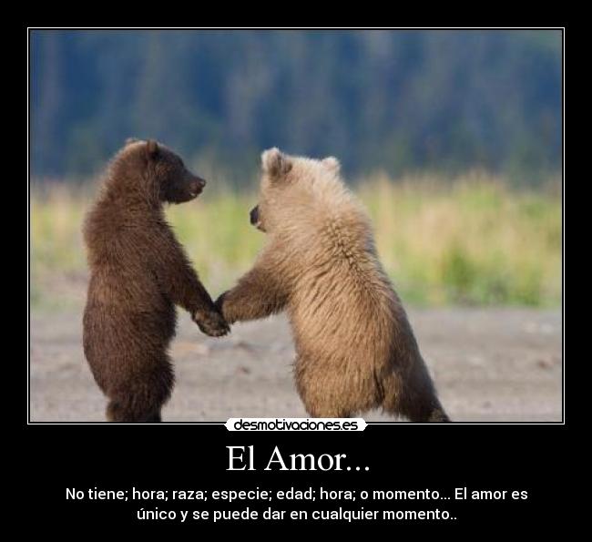 El Amor... - 