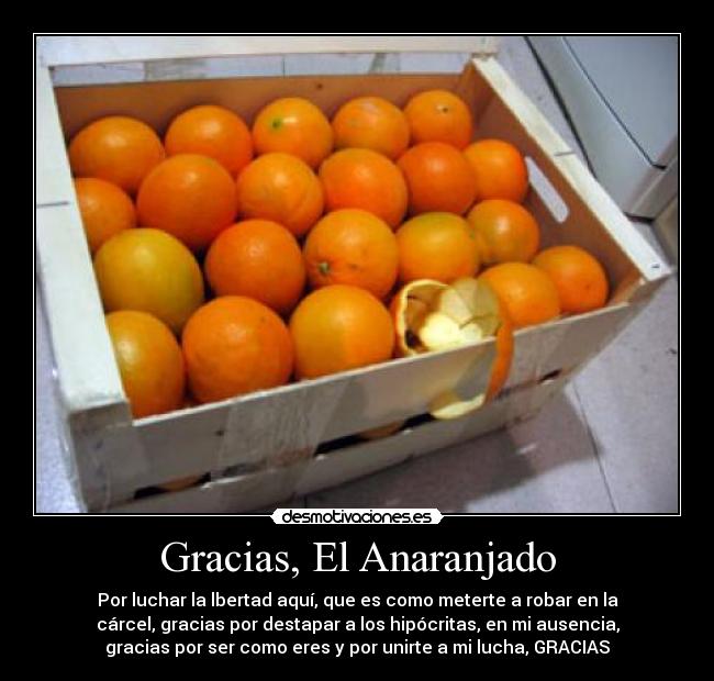 carteles halavhad hel hanaranghado merese vaxh desmotivaciones