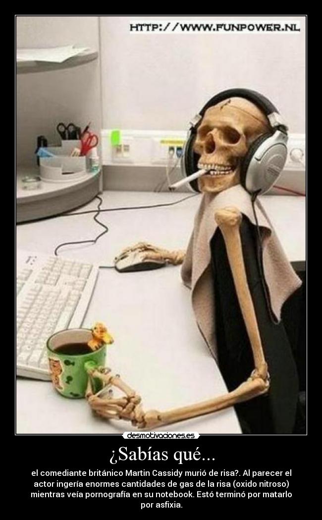 carteles muerte risame gustaria preguntar familia funeralcomo murio alvatros desmotivaciones