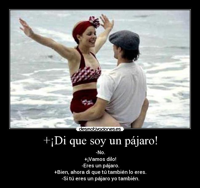 +¡Di que soy un pájaro! - -No.
+¡Vamos dilo!
-Eres un pájaro.
+Bien, ahora di que tú también lo eres.
-Si tú eres un pájaro yo también.