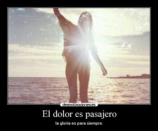 carteles dolor dolor desmotivaciones