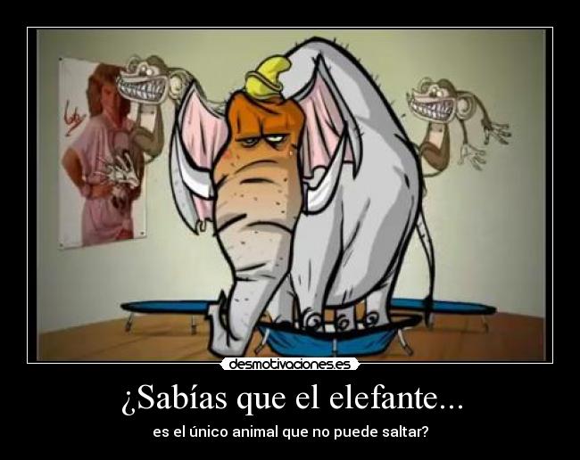 ¿Sabías que el elefante... - 
