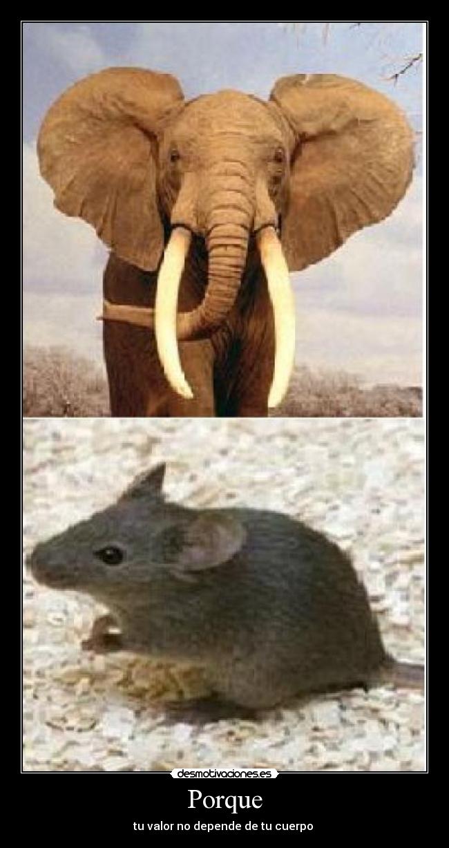 Porque - tu valor no depende de tu cuerpo 