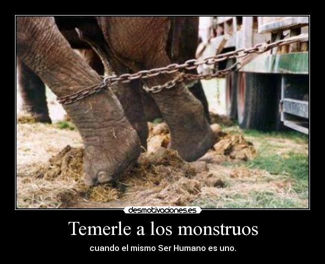 Temerle a los monstruos - 