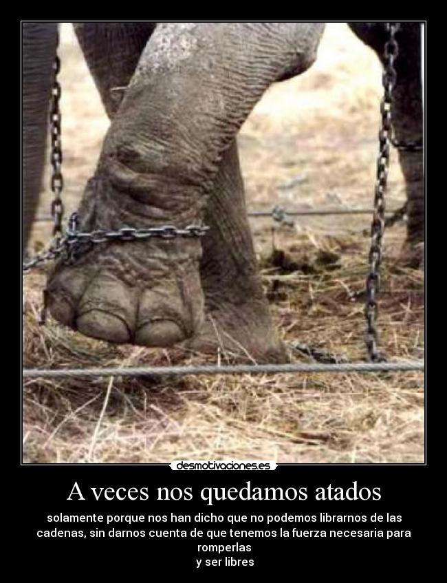 A veces nos quedamos atados - 