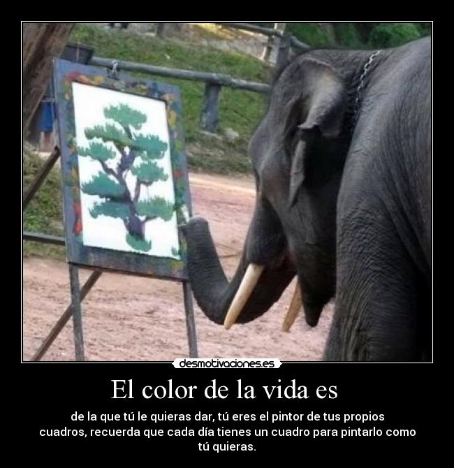 El color de la vida es  - 